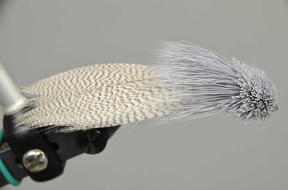 zoo cougar streamer pattern