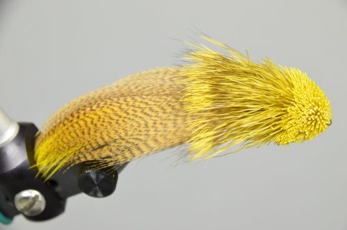 galloup's zoo cougar streamer yellow