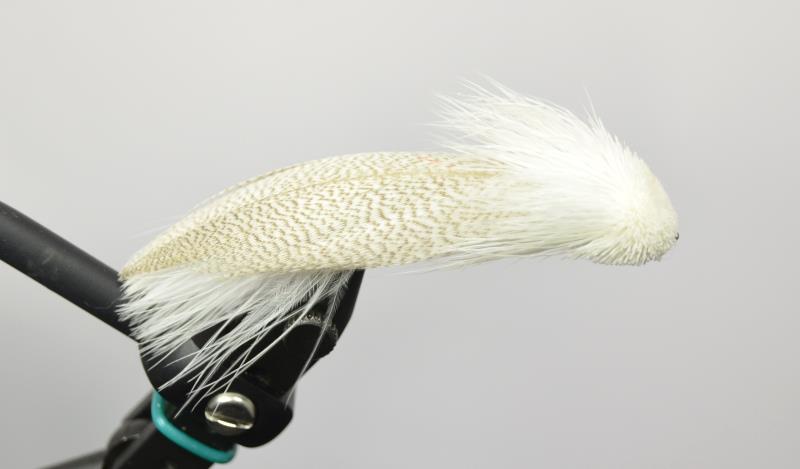 zoo cougar streamer pattern