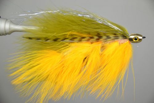 galloup's barely legal fish skullolive-yellow