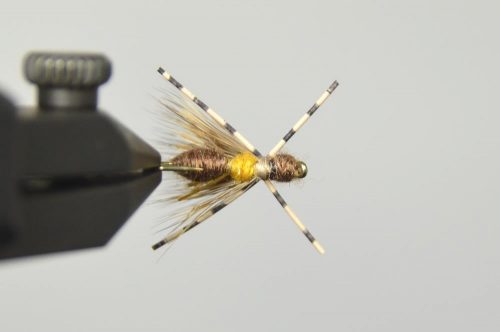 galloup's ant acid fly brown bottom