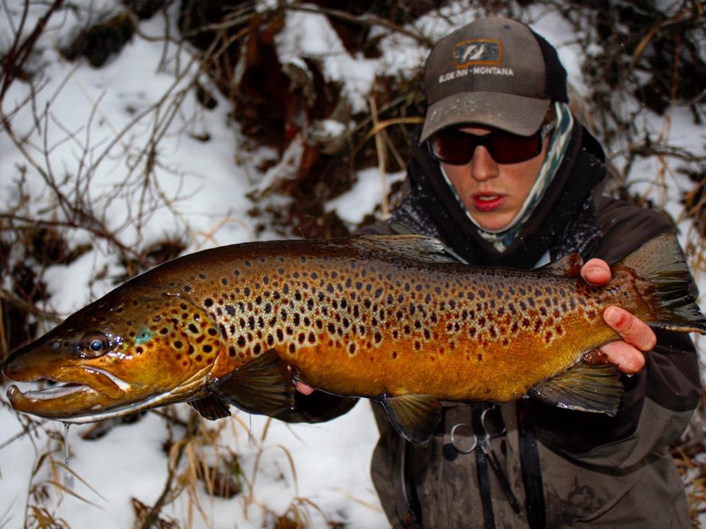 Madison river fishing report 11-25-2015