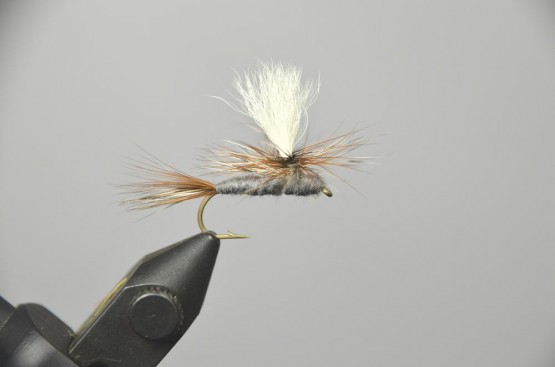 cdc trico