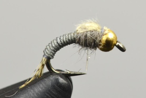 wd 40 nymph