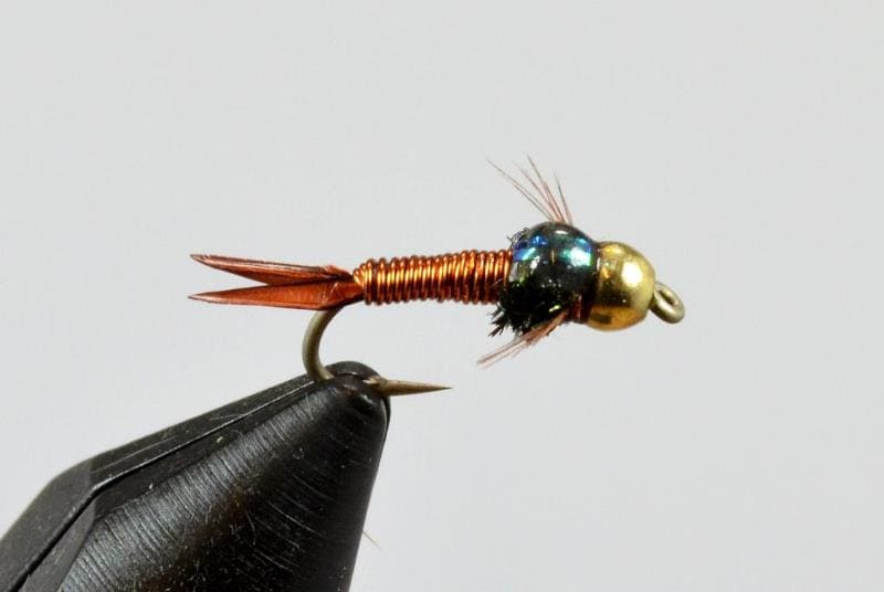 Copper John Galloup's Slide Inn Nymphs Attractors