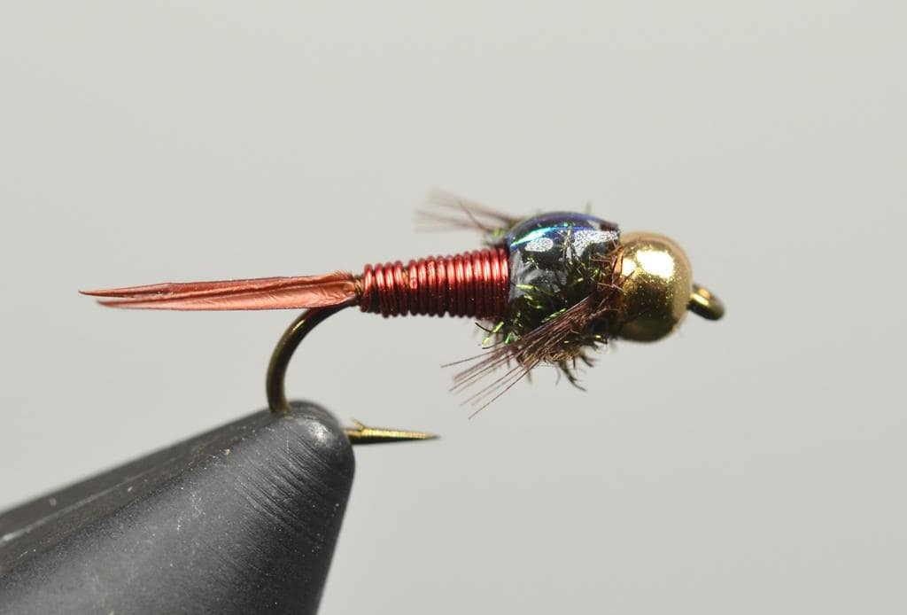 Copper John Galloup's Slide Inn Nymphs Attractors