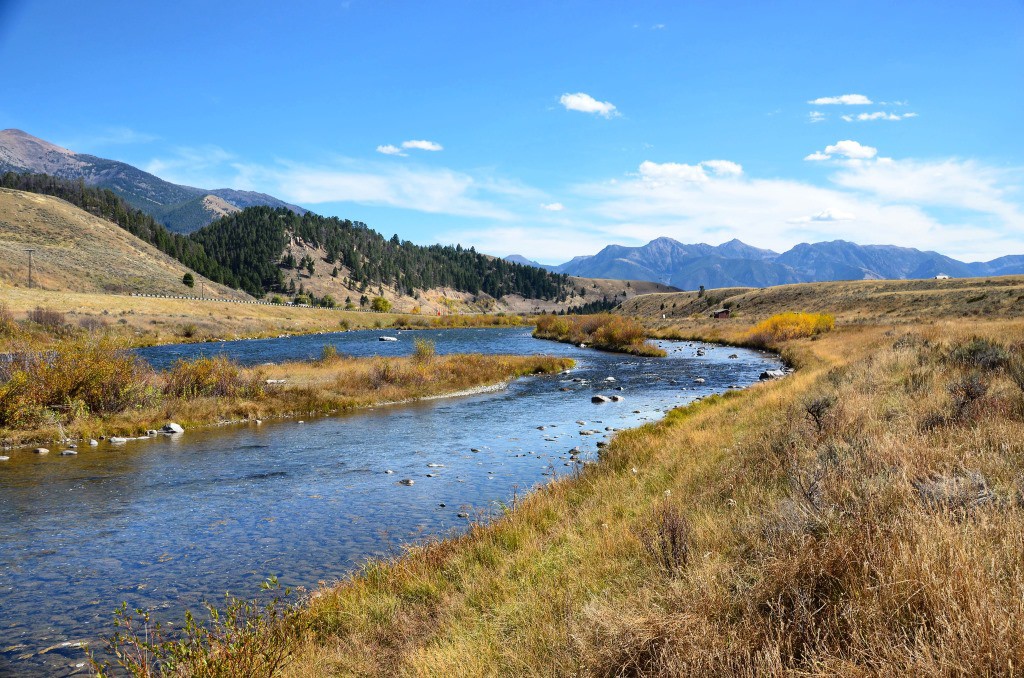 madison river pine butte