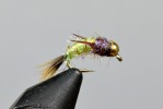 davies' evil weevil