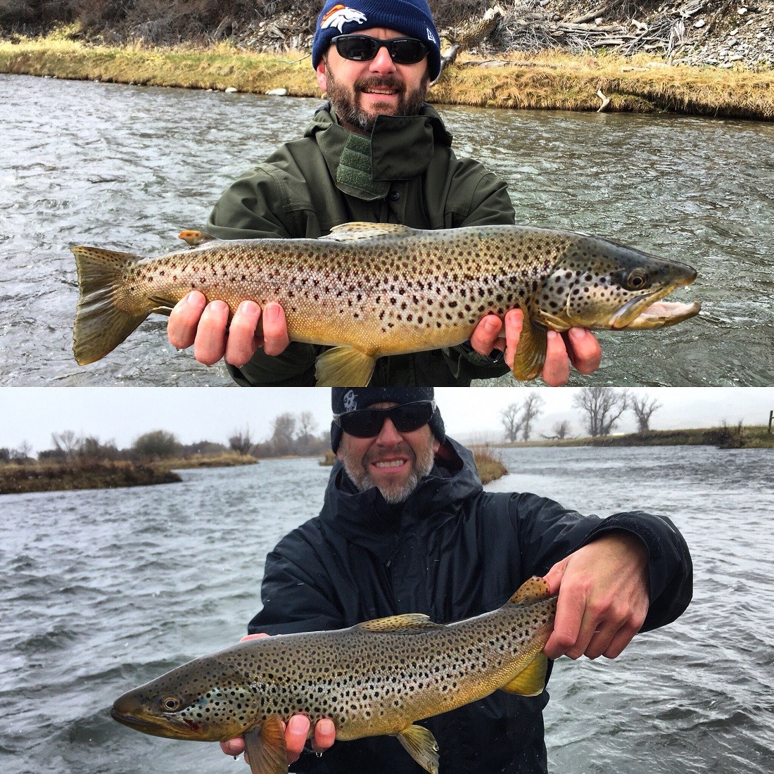 madison river fishing report 4-18-2016