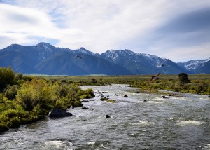 madison river fishing report 6-7-2016