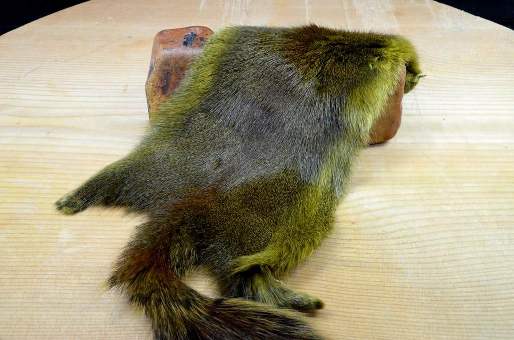 Pine Squirrel Skin Galloup's Slide Inn Fly Tying Fur