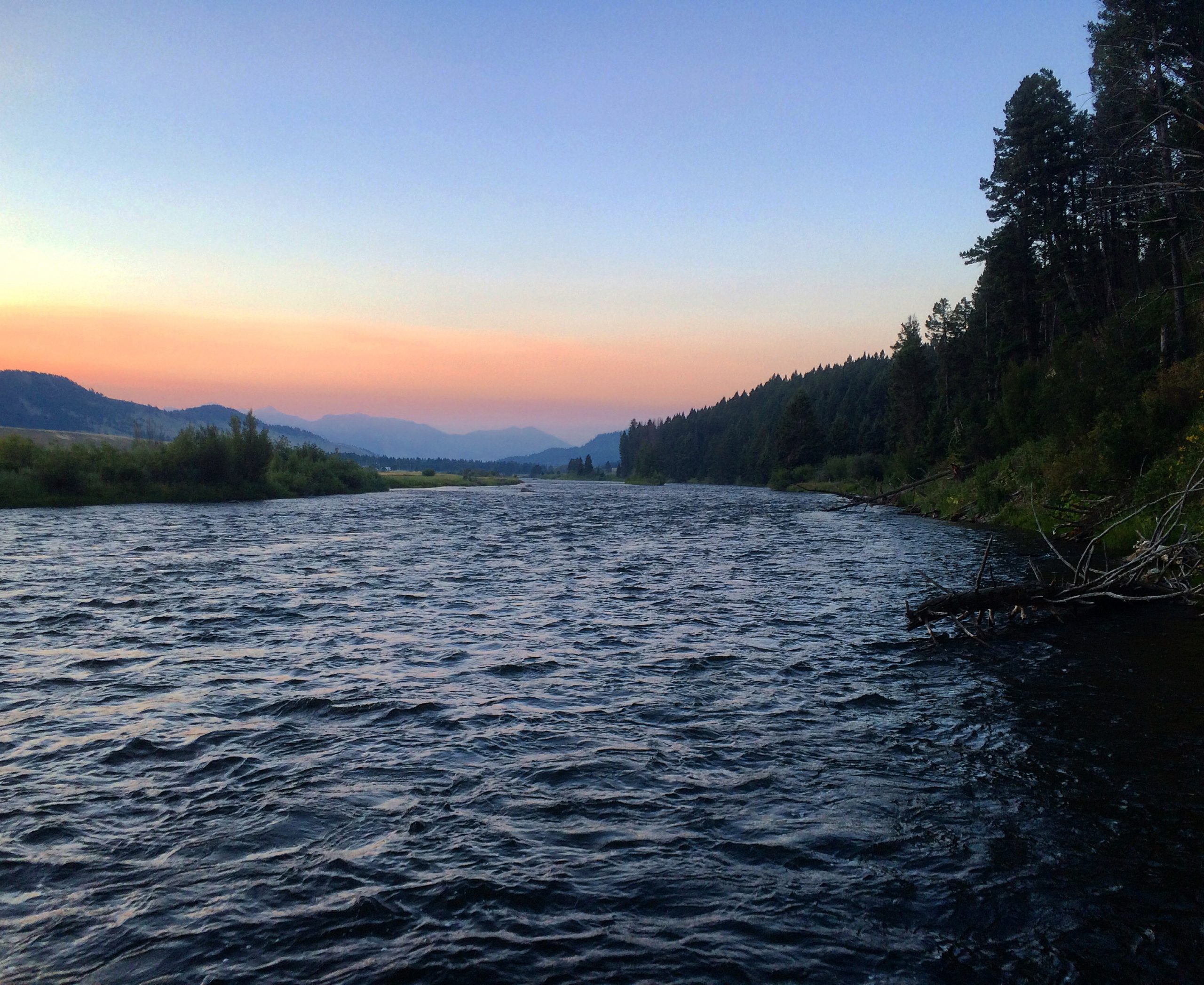 madison river fishing report 7-31-2016
