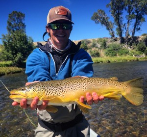 madison river fishing report 8-25-2016