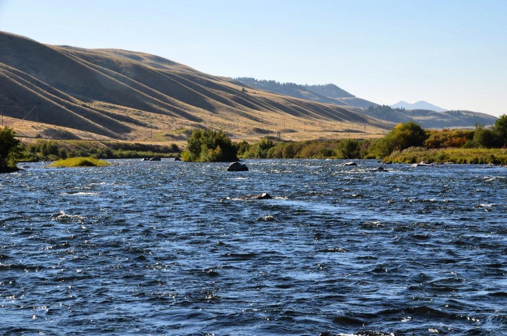 madison river fishing report 8-11-2016