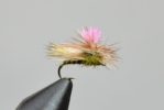 bloom's parachute caddis lt olive