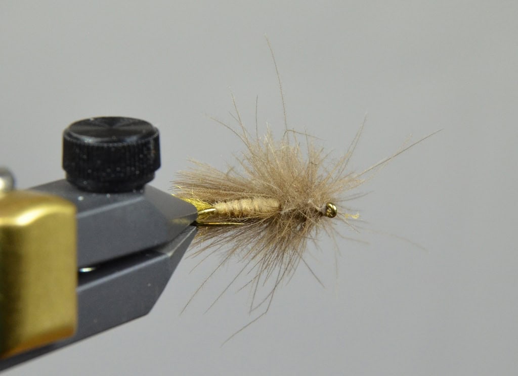 corn fed caddis pattern