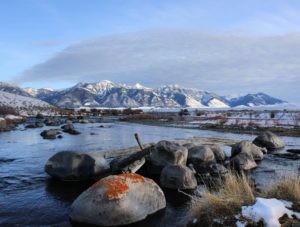 madison river fishing report 2-17-2017