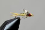 jackson's bh sally