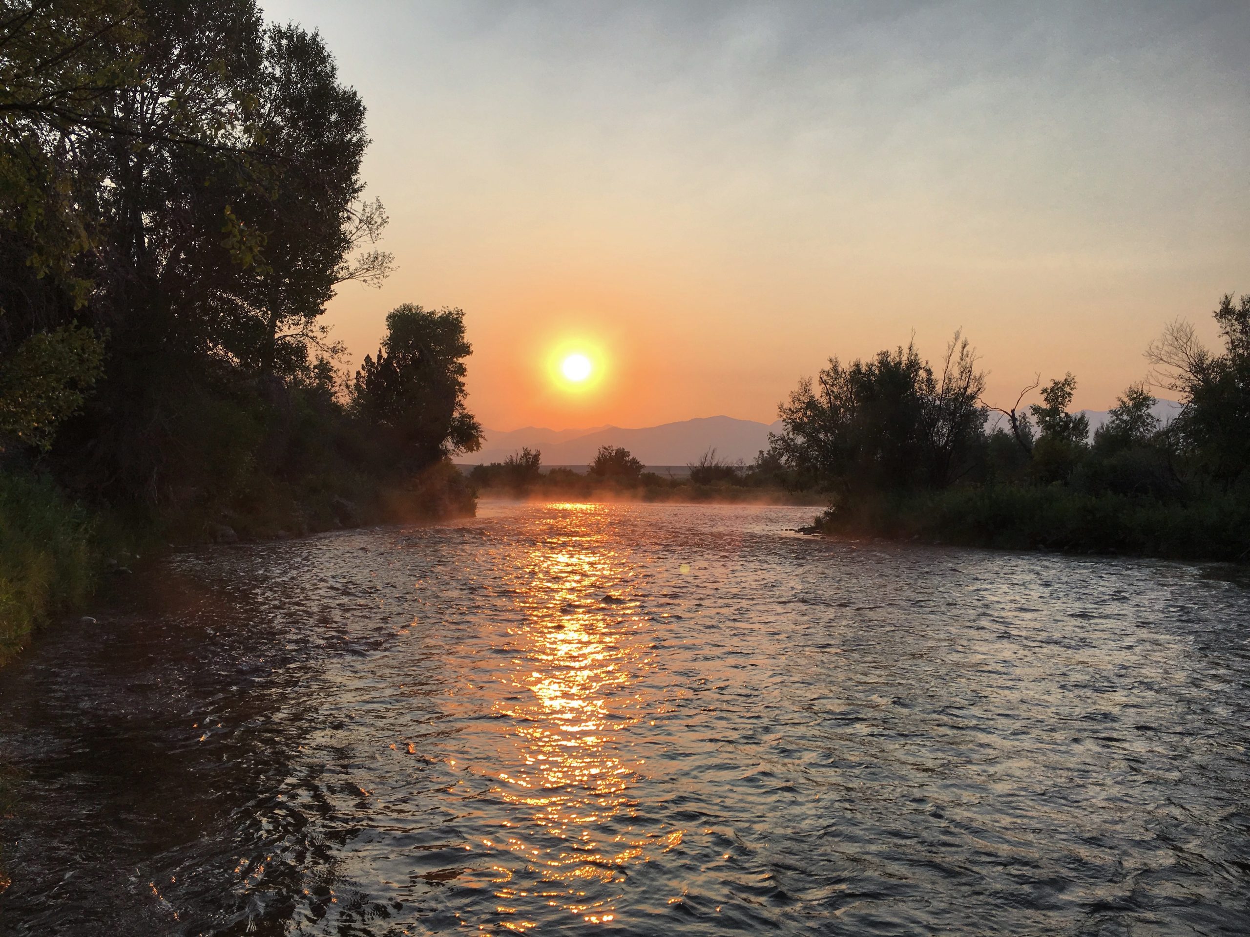 madison river fishing report 8-10-2017