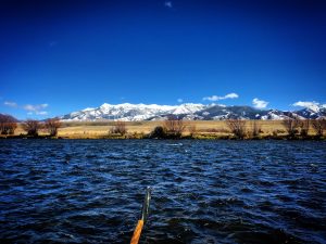 madison river fishing report 10-27-2017