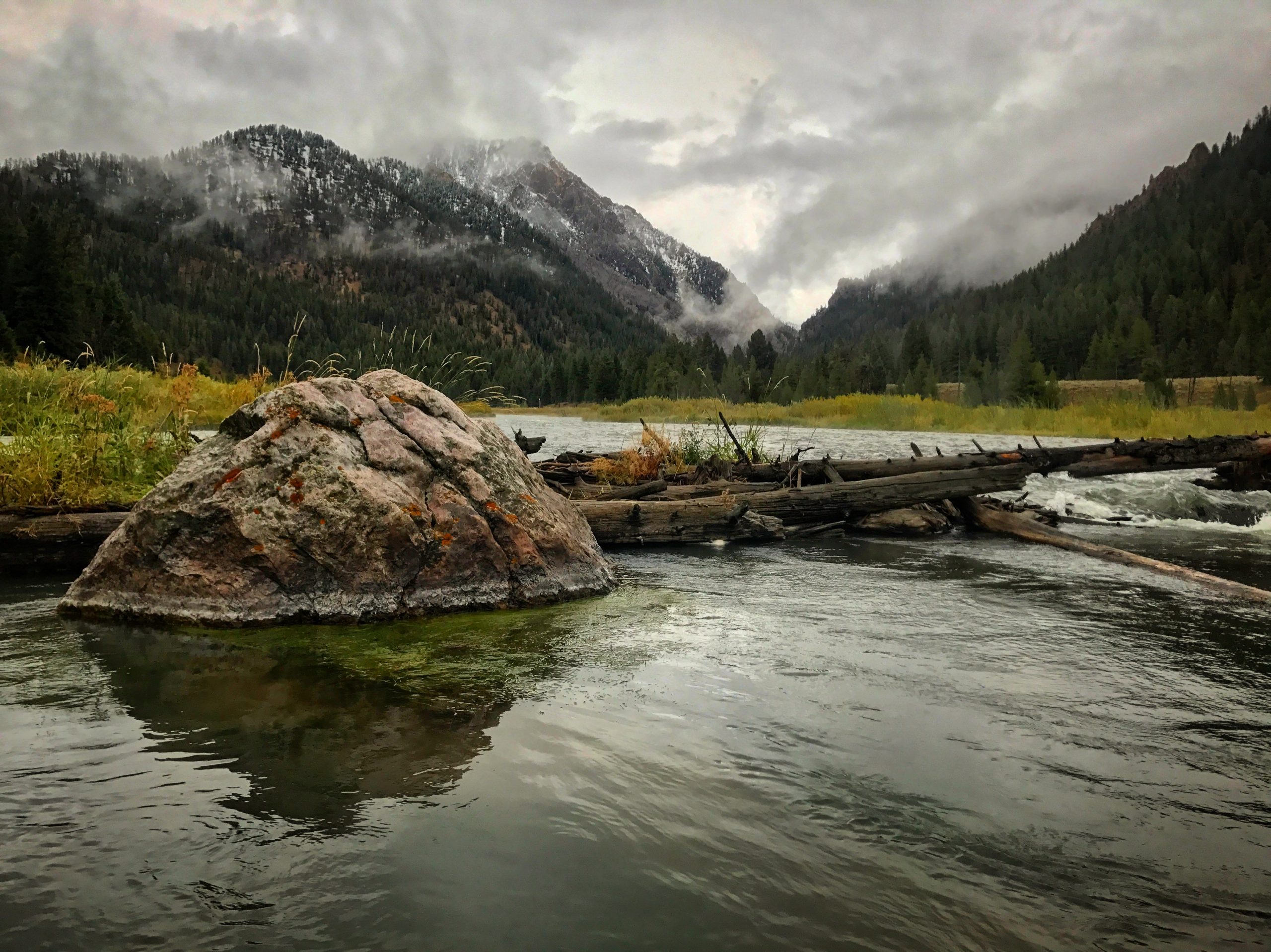 madison river fishing report 10-4-2017