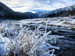 madison river fishing report 12-13-2017