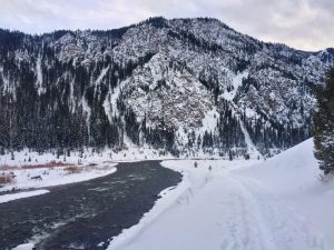 madison river fishing report 1-9-2018