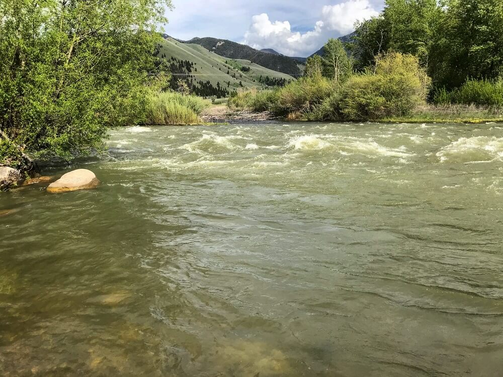 madison river fishing report 6-5-2018