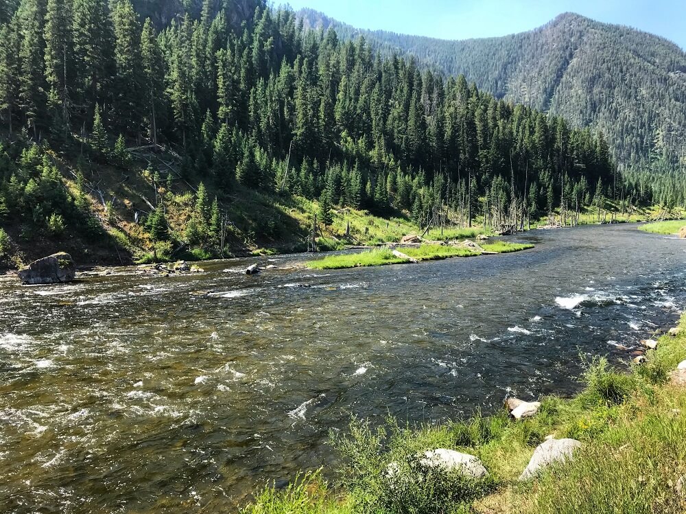 madison river fishing report 8-7-2018