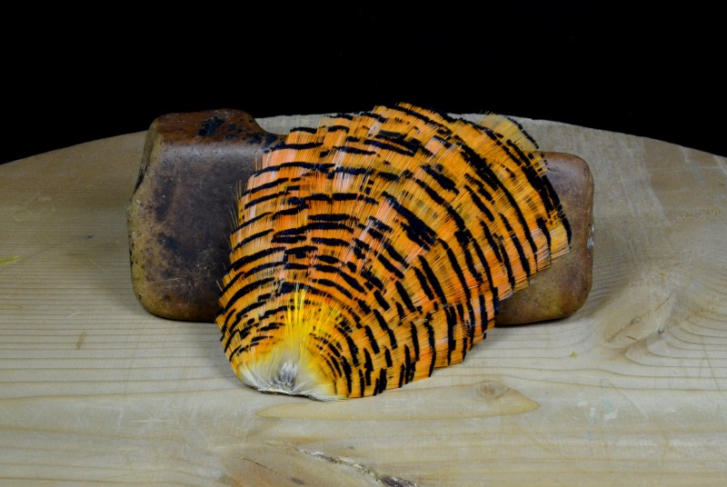 complete natural golden pheasant tippet
