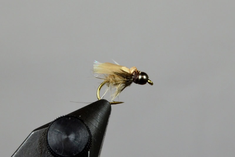 diving caddis fly pattern