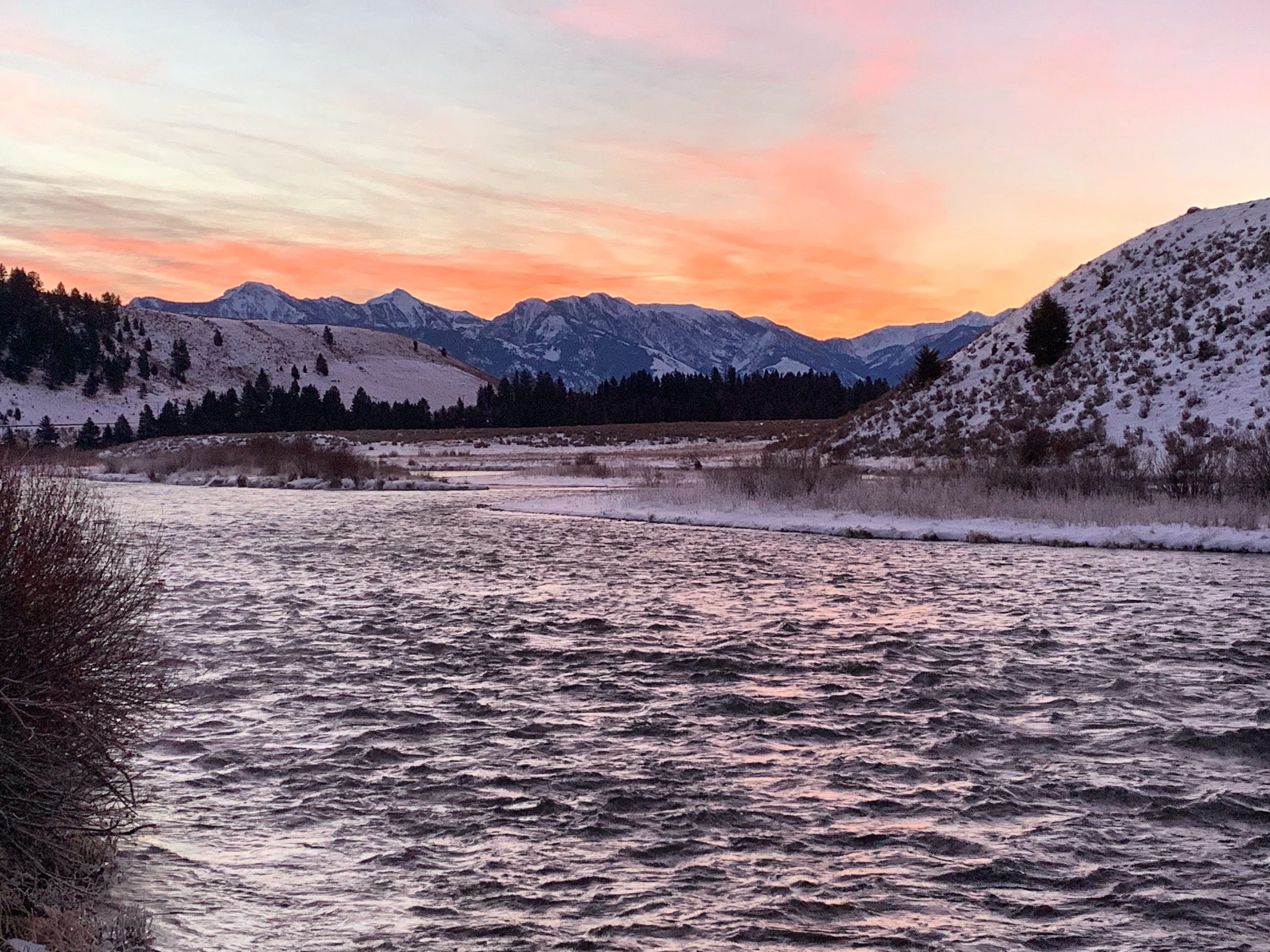 madison river fishing report 1-8-2019