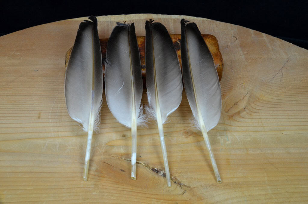 nature's spirit duck quills natural fly tying