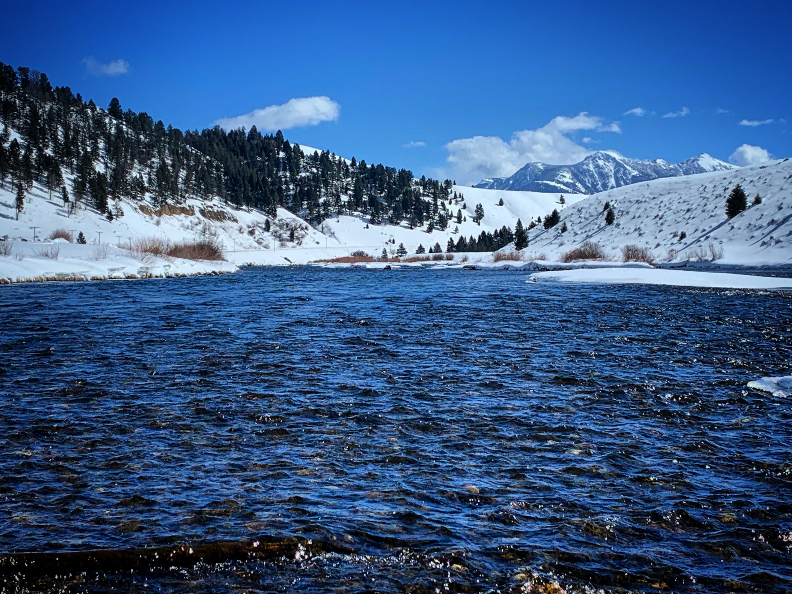 madison river fishing report 3-20-2019