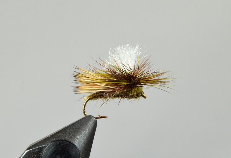 dancing caddis fly pattern