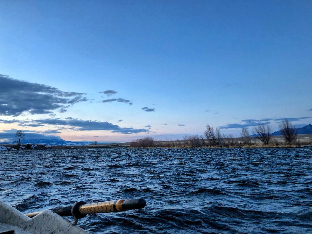 madison river fishing report 4-16-2019