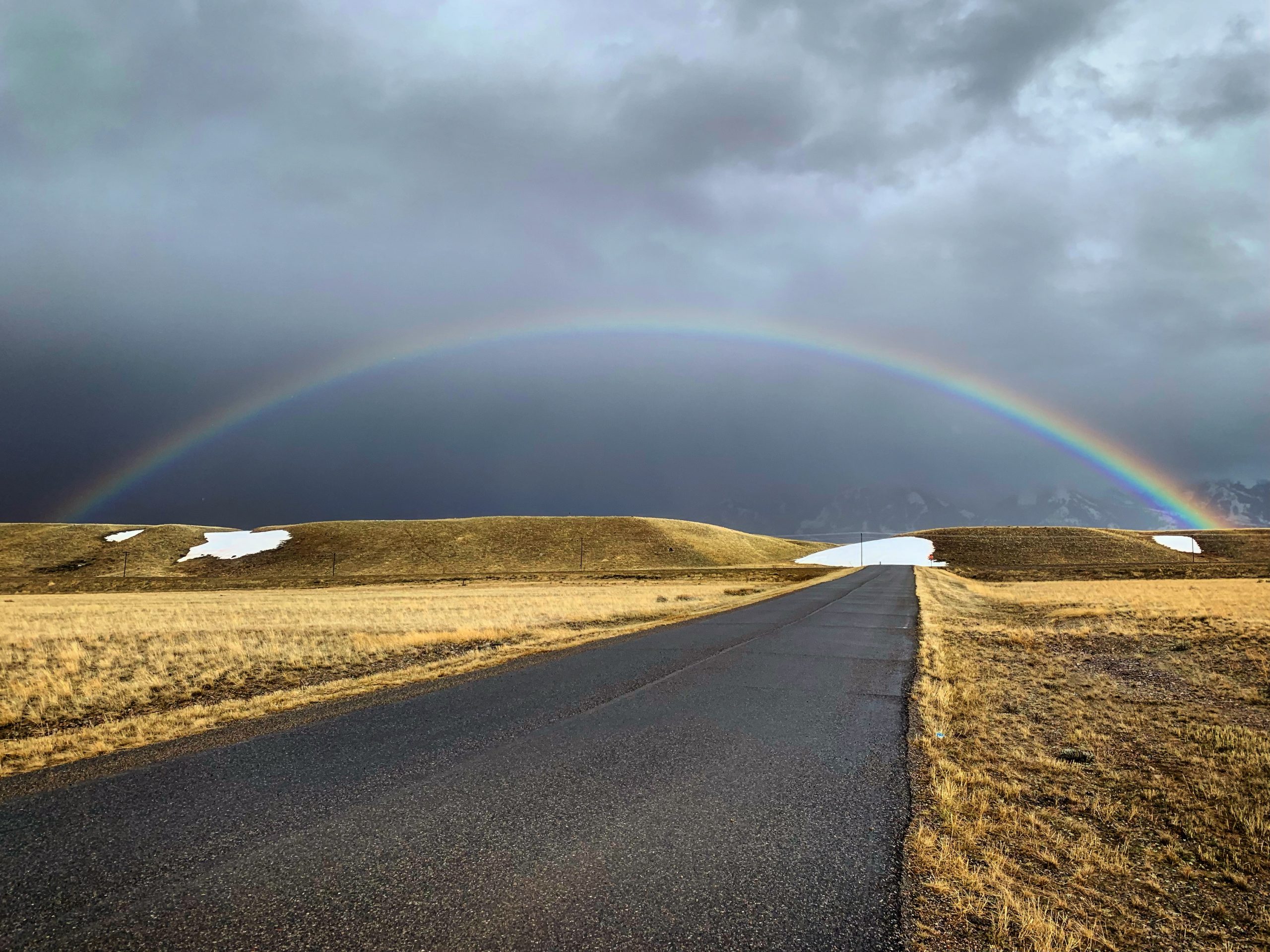 madison river fishing report 4-30-2019