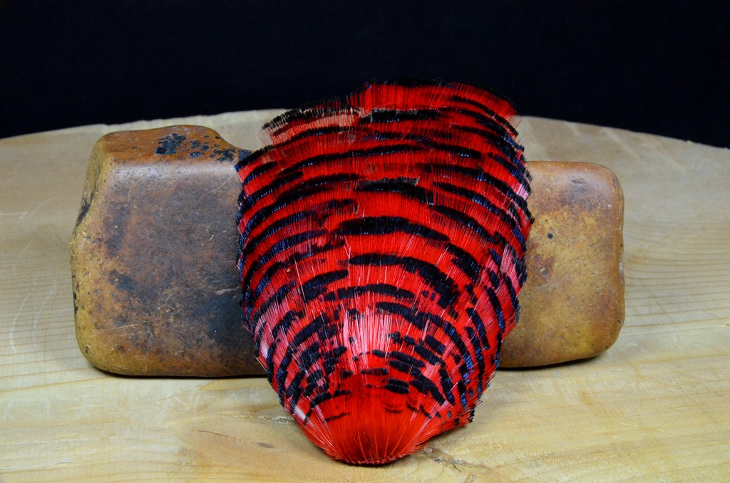 golden pheasant tippet complete red