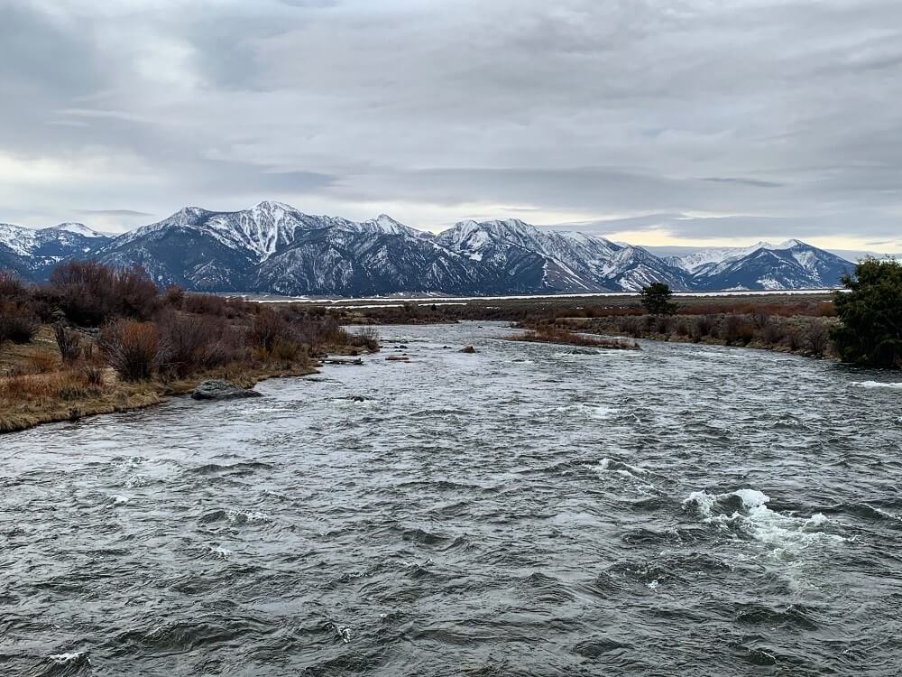 madison river fishing report 4-23-2019