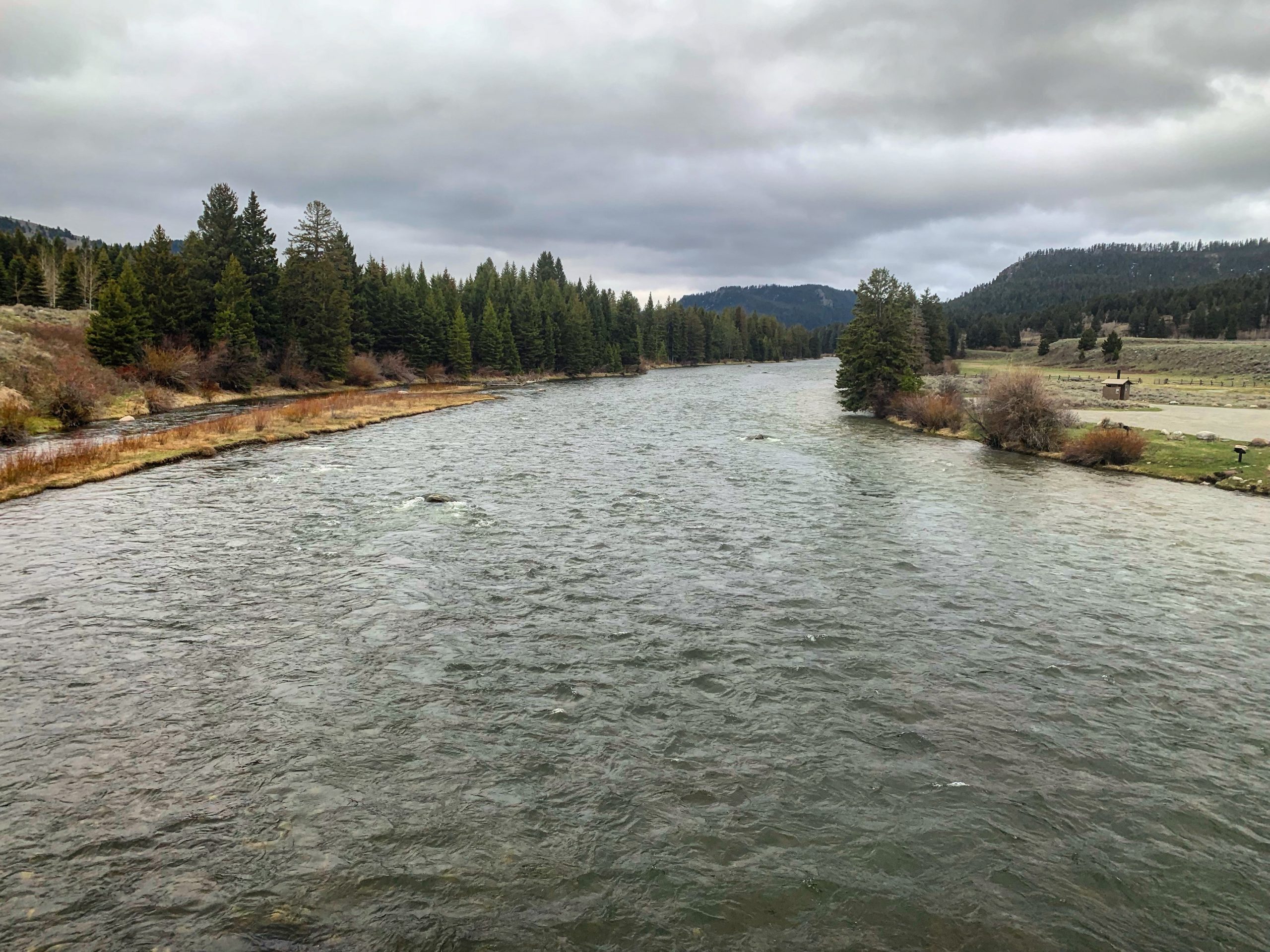 madison river fishing report 5-10-2019
