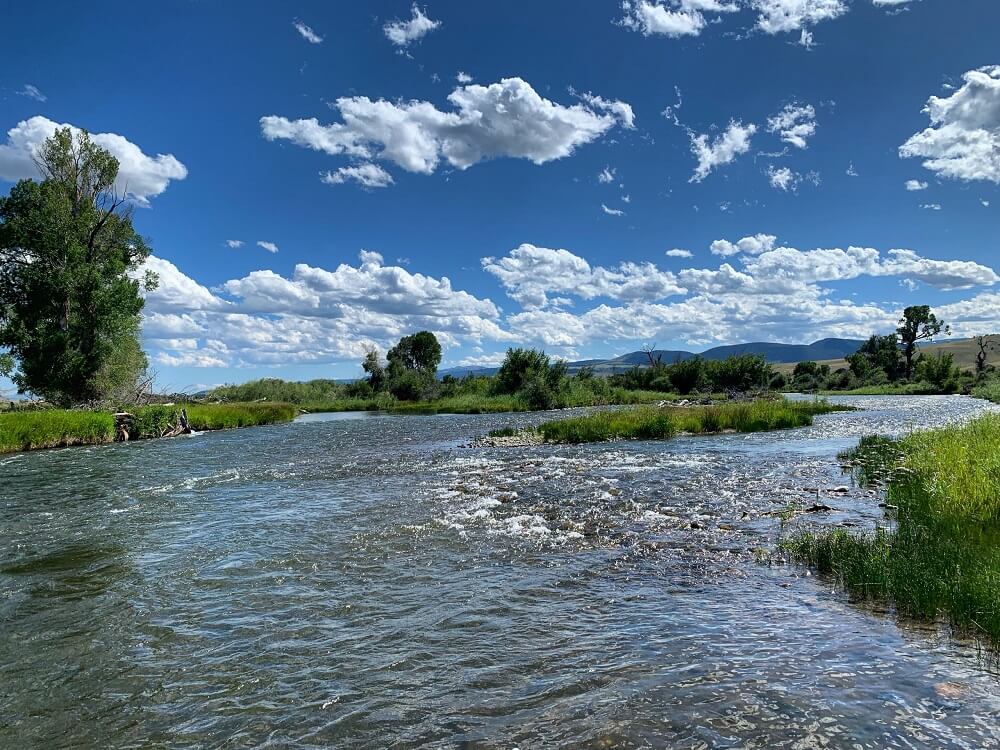 madison river fishing report 7-28-2019