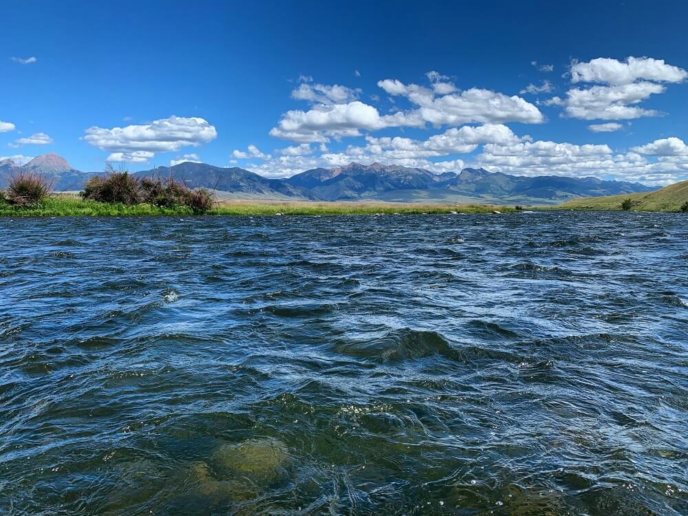 madison river fishing report 8-14-2019