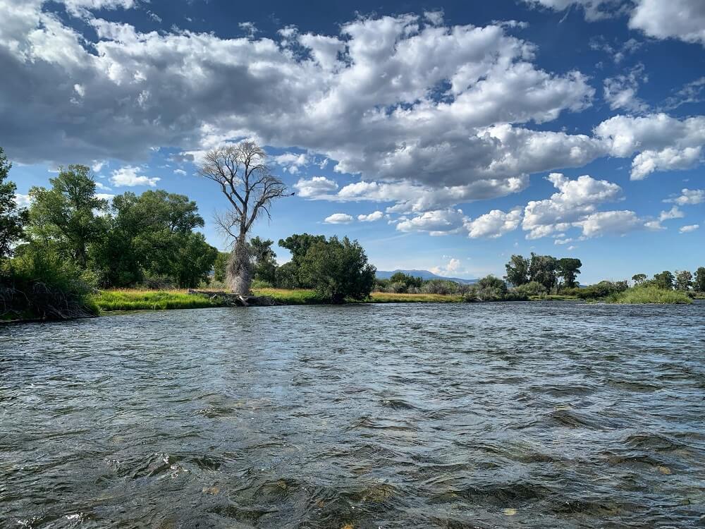 madison river fishing report 8-23-2019