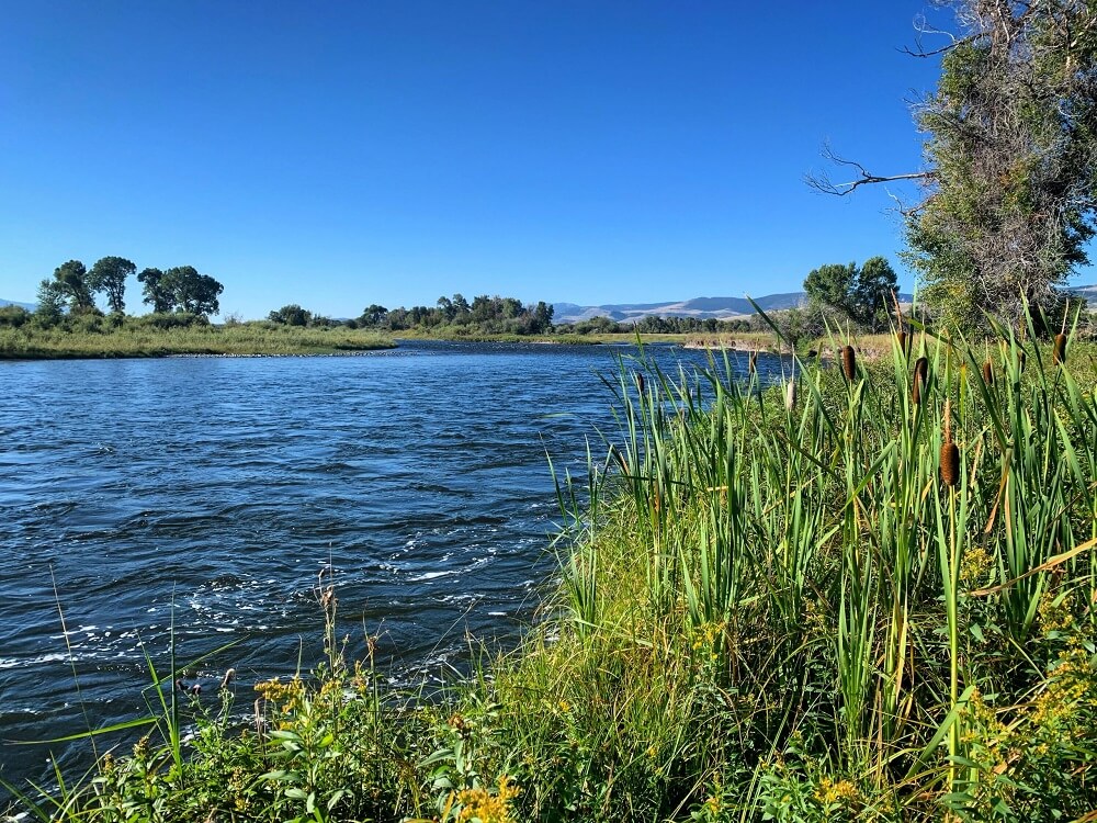 madison river fishing report 09-03-2019