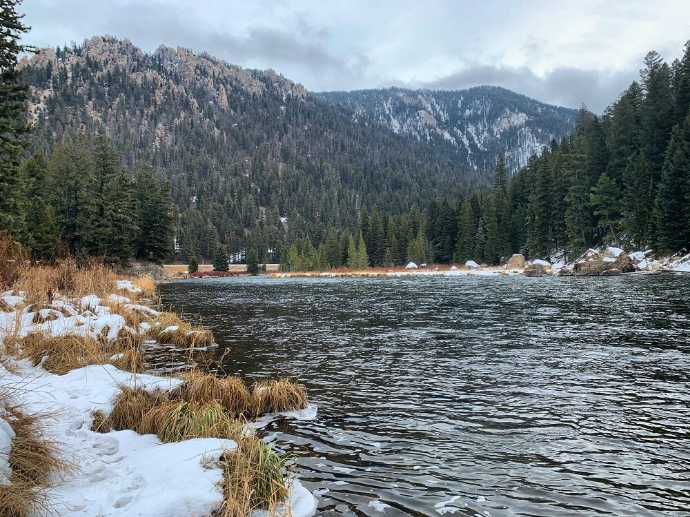 madison river fishing report