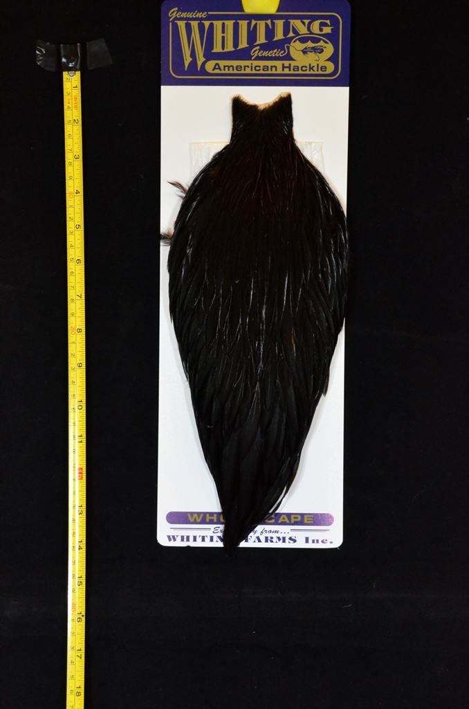 whiting american rooster cape black
