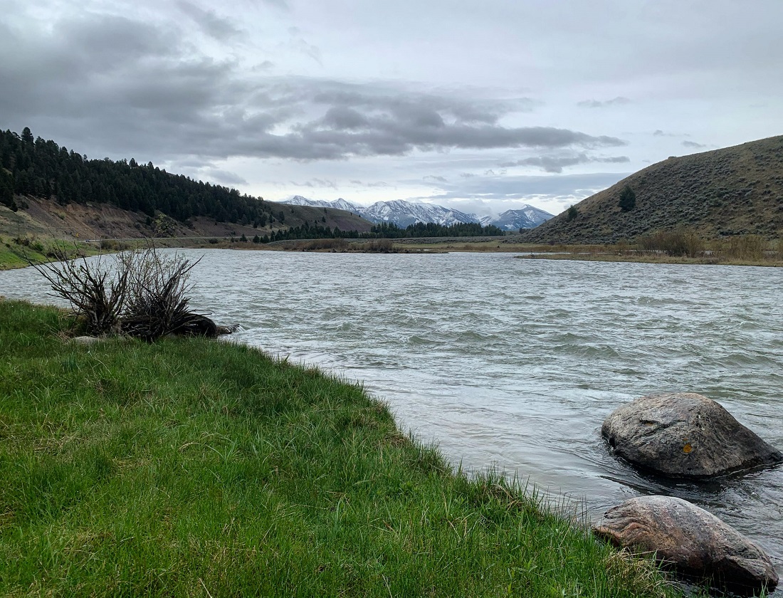 madison river fishing report 05-24-2020