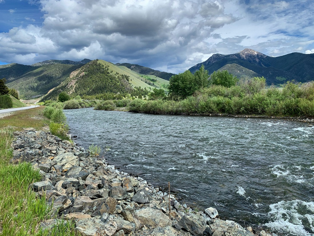 madison river fishing report 06-19-2020