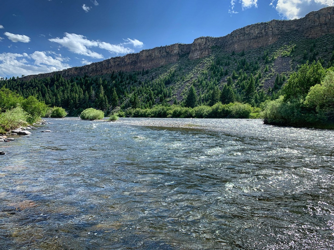 madison river fishing report 07-23-2020