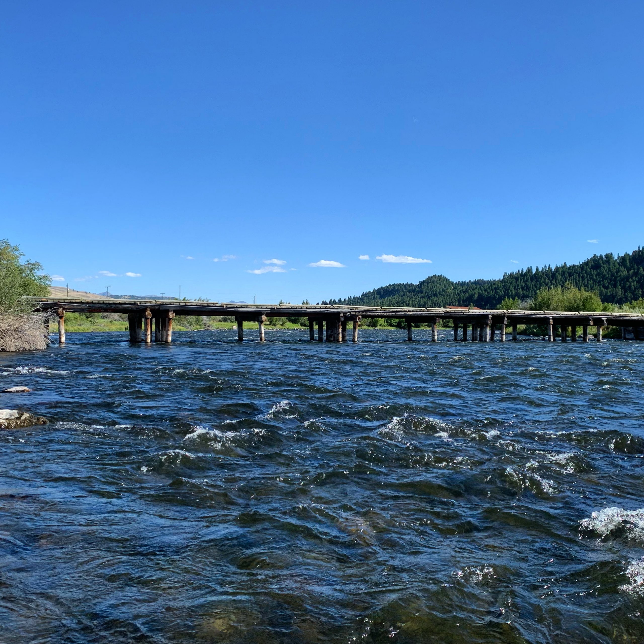madison river fishing report 09-16-2020